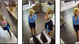 Deputies searching for suspects who took Michael Kors handbags from St. Augustine outlet store